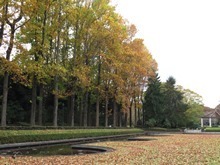 151031_kesiki.jpg