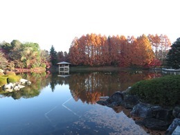 161126_keshiki.jpg