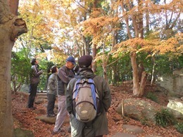 161203_風景.jpg