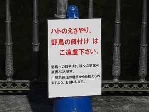 191116_kanban.jpg