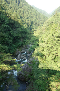 DSC00946.jpg