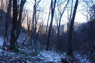 DSC01736.jpg