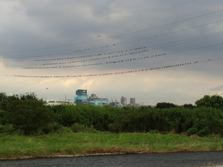 DSC05981s.jpg