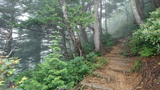 DSC_0148s.jpg