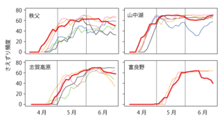 きびたき.png