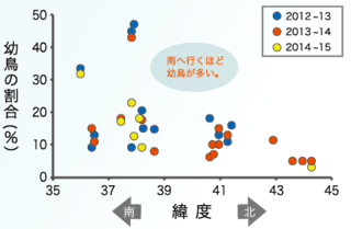 オオハクチョウ南北幼鳥率.png