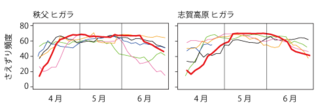 ヒガラ.png