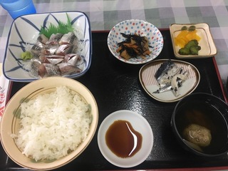 写真4IMG_3218イワシ.jpg