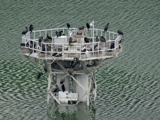 城山湖コロニー2.jpg