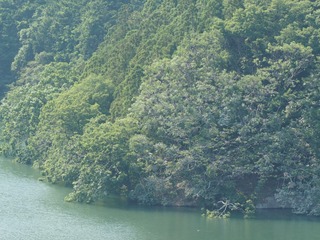 城山湖コロニー2017.jpg