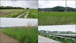 農地環境写真collage.jpg