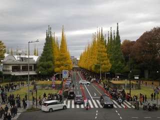 IMGP0107.jpg