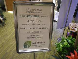 IMGP0305.jpg