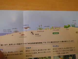 IMGP0321資料.jpg