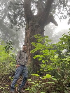 大王杉と植田さん　佐渡にはスギの巨木がたくさんあるそうです