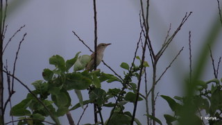 IMG_2125.JPG