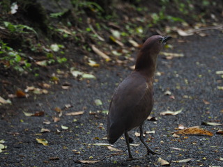 P4080832.JPG