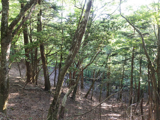 P5220178.jpg