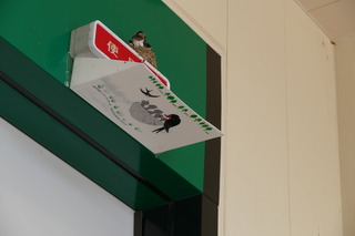 2015kairyo2.JPG