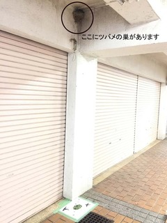 Amazon1.jpg
